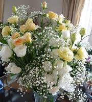 gol