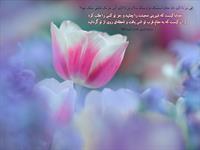 hadees