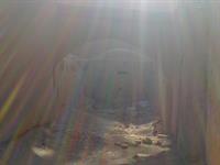   picterتصاویر برای