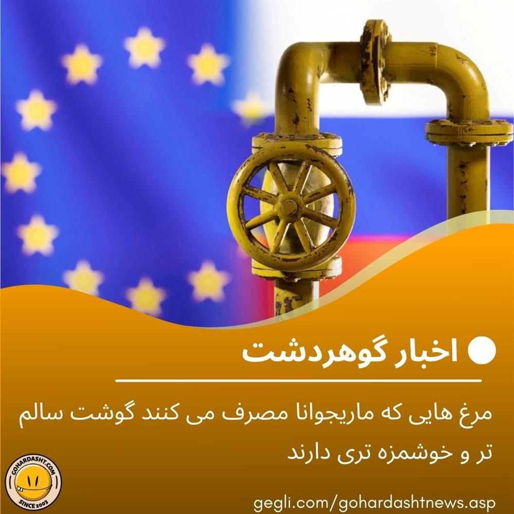  انتقال گاز روسیه به اروپا از سر گرفته شد