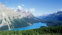 peyto