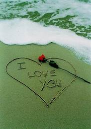 navid - majid.esh@example.com