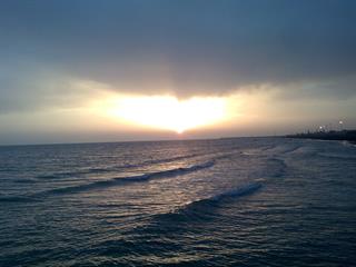 تبادل اطلاعات و گردهمایی