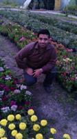 man dar baghe marofe alaghol nazdike jade gorgan dar nazdik ghorob ghabal az roshan kardan perzheketror be alat nabod vaght!!!aksam tarik oftad
