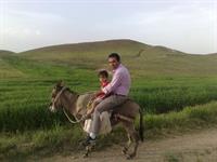 نبی سیاه سوار جیه