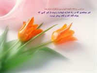 پاداش كسي كه مي تواند گناه كند ولي براي  رضاي خدا گناه نه مي كند 