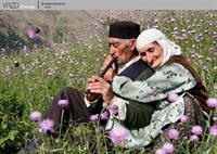 چه با......