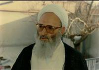 علامه حسن زاده عاملی