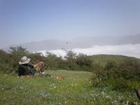 manjil