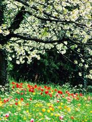 آشنایی  