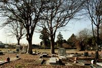 cemetery