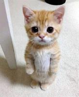 awe