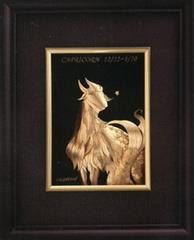 متولدین دی ماه