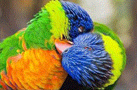always love