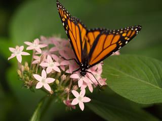  -20 تهران و کرج