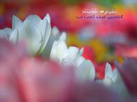 گشاده رويي