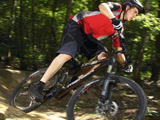 دوچرخه سواری حرفه ای