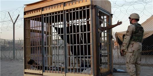 گزارش تکان‌دهنده شکنجه‌های سیا؛ از غرق مصنوعی تا تهدید به قتل و تجاوز به بستگان