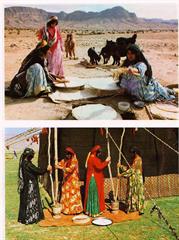 علمی فرهنگی هنری 