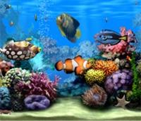 wed jan 24 13:57:25 2007
