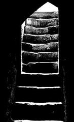 VARZESH HAMRAH BA DOOSTI