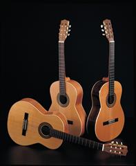 ارامشی خاصل از موسیقی