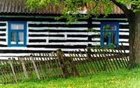 كلبه
