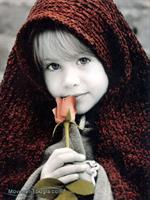 morteza