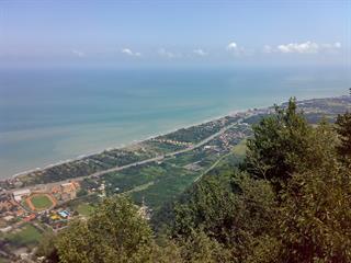 طلاق گرفته ها و همسر فوت شده ها