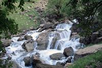 ilam
