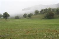 ilam