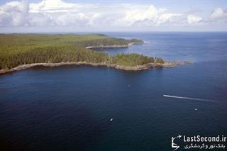 فرهنگی اجتماعی هنری