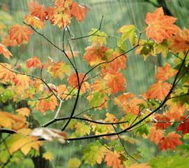 اشنایی و دوست یابی متولدین مهر ماه