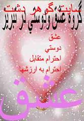 پیدا نمودن دوستان 