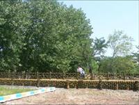 tue jul 25 12:06:34 2006