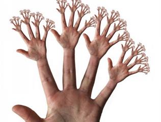 هر چی که دلت می خواد