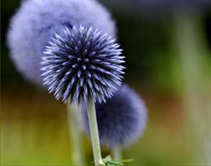 در زمینه روباتها  الکترونیک و کامپیوتر