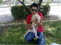 mil@d & mish@