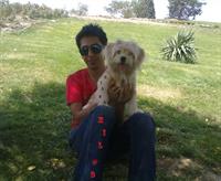 mil@d & mish@