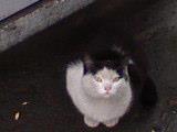 wed feb 28 13:35:12 2007