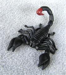 وول خوردن برا آشنایی....