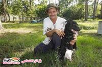 mehre madari