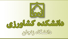 علمی
