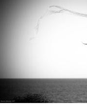 راه حلی برای شادی