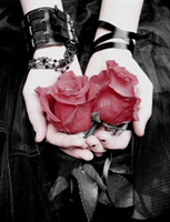 برای عریزترازهمه