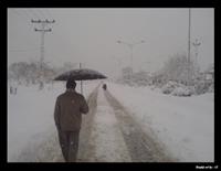 hamin emsaleee ke barf omad
