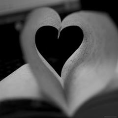 درتمام زمینه ها 