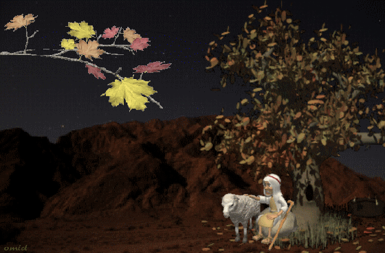 1000118219.gif
