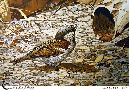 mohamad&nbsp;mohamadi