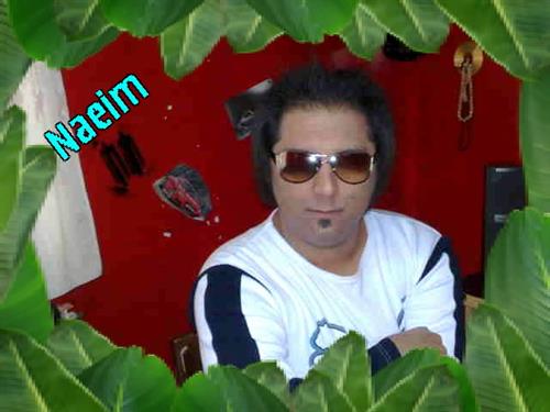 naeim&nbsp;afshin